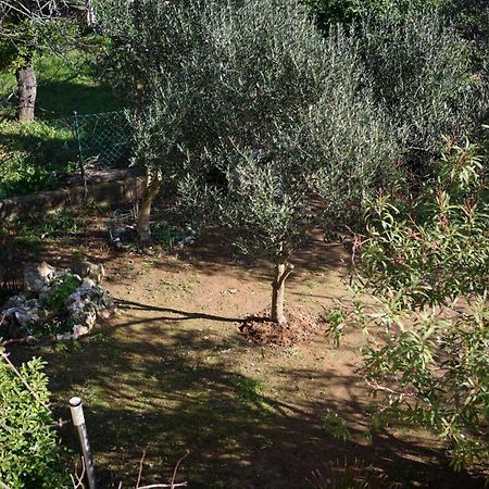 Villa Claudia Beach Apartment Premantura Zewnętrze zdjęcie