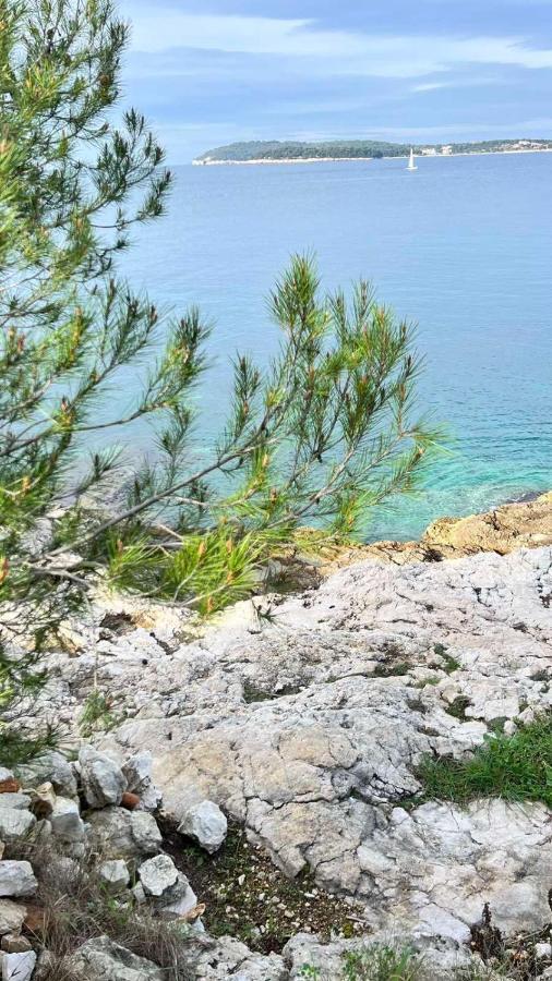 Villa Claudia Beach Apartment Premantura Zewnętrze zdjęcie